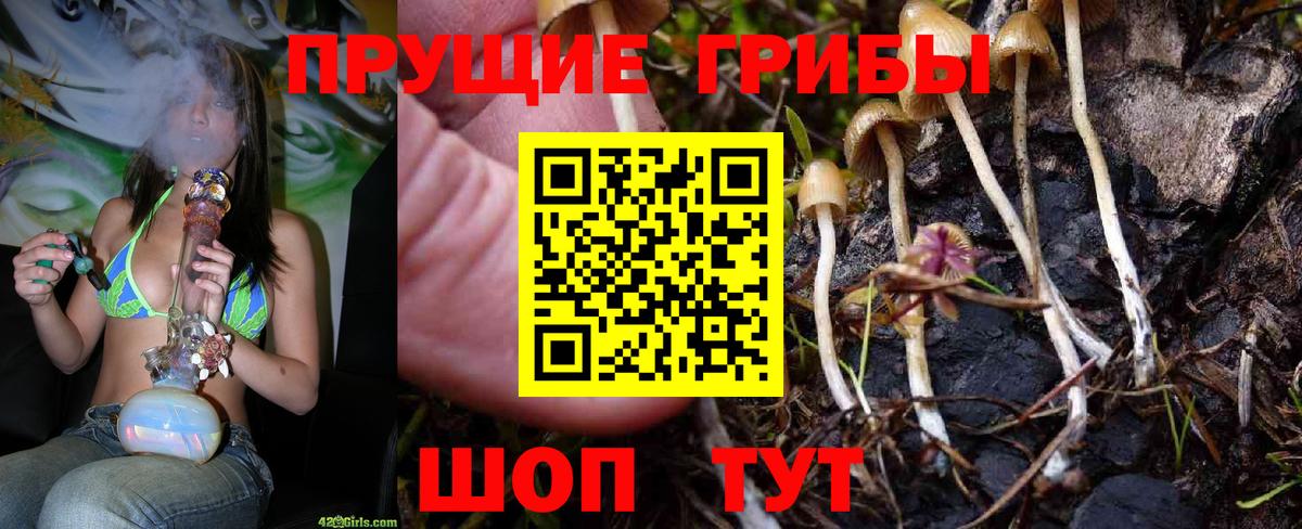 Верхняя Салда  Галлюциногенные грибы мицелий  где продают наркотики  Псилоцибиновые грибы прущие грибы  Вход с VPN 